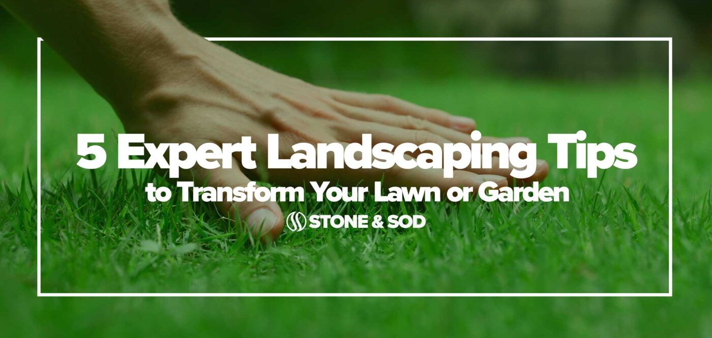 5 Expert Landscaping Tips to Transform Your Lawn or Garden