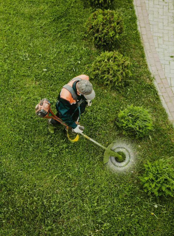 lawn maintenance tips