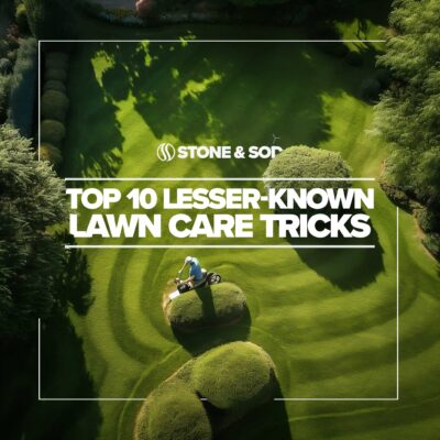 Top-10-Lesser-Known-Lawn-Care-Tricks.